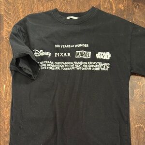 Zara Disney tee